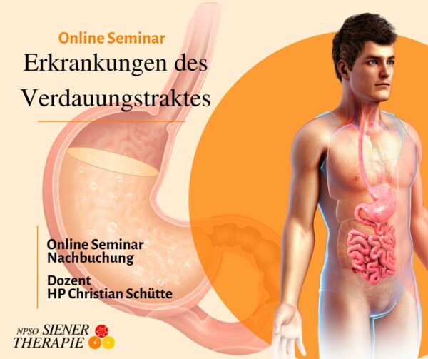 Online Seminar Nachbuchung Erkrankungen des Verdauungstraktes