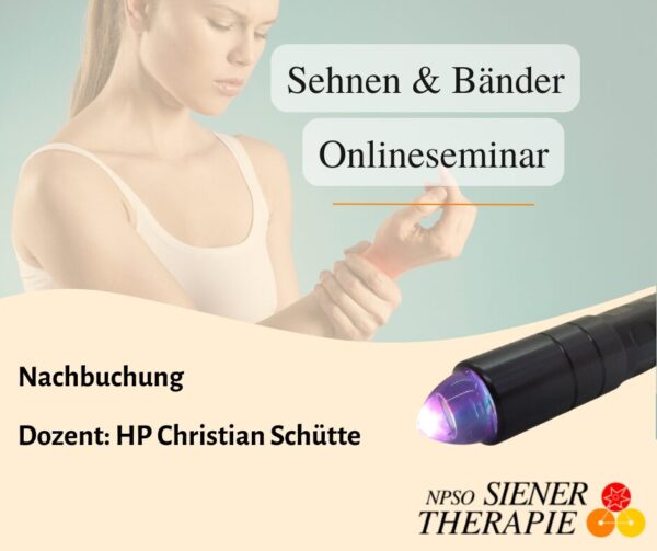 Online Seminar Nachbuchung Sehnen & Bänder